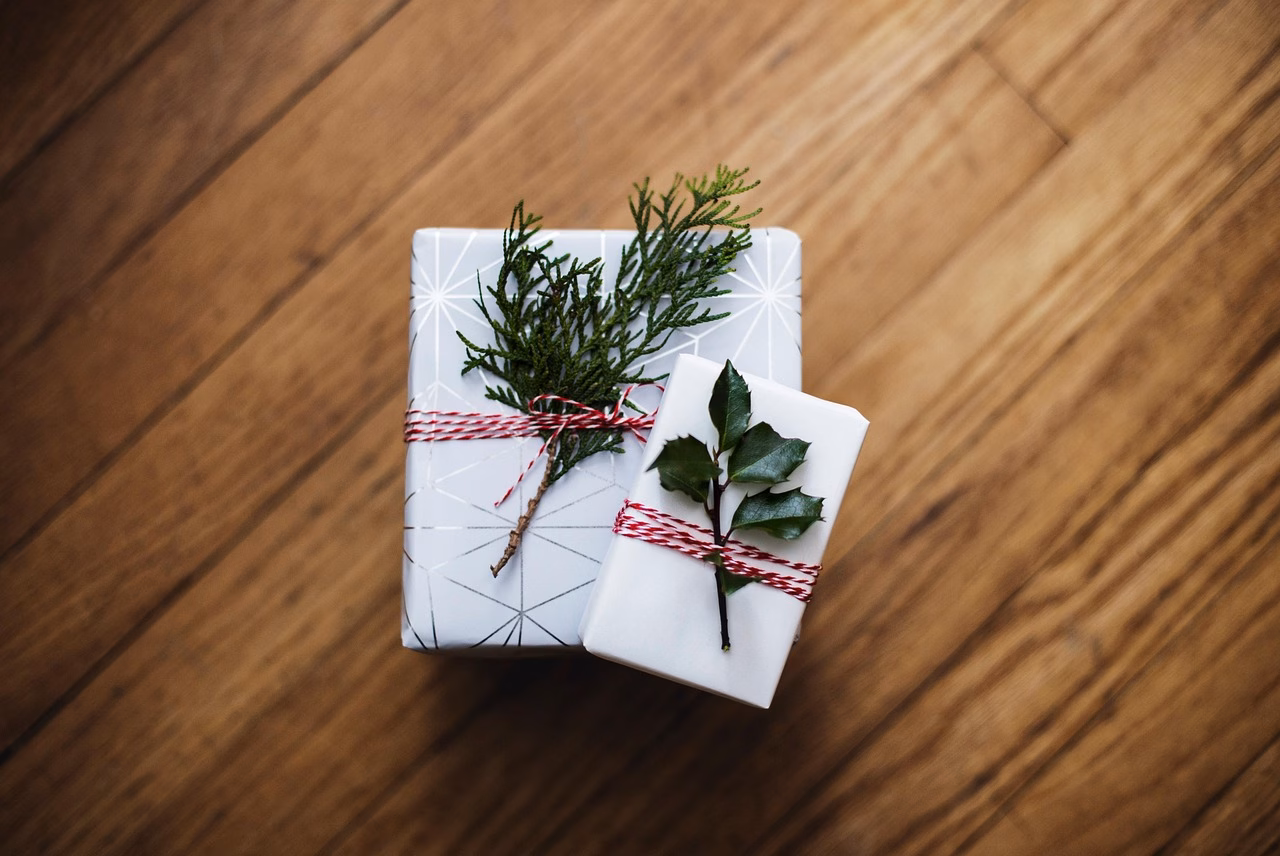 Frohe Weihnachten und ein gesundes neues Jahr 2026